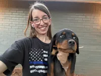 Flame, a male Rottweiler for sale in Edmond, OK – 3 of 7