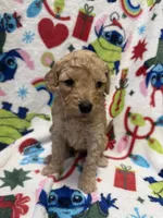 processed/14acb267-82ac-4bfc-8782-cc8c14aed712/listing/9f8fa021-aedd-4ede-a3ec-d4b018373580/0f23f64a-14e3-46a4-b21a-9b76192b3ac1