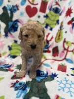 processed/14acb267-82ac-4bfc-8782-cc8c14aed712/listing/9f8fa021-aedd-4ede-a3ec-d4b018373580/7deff963-5005-4115-b09a-87cbe8c44a4e