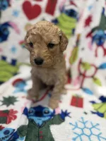 processed/14acb267-82ac-4bfc-8782-cc8c14aed712/listing/9f8fa021-aedd-4ede-a3ec-d4b018373580/9156dbe1-561f-4d92-84ba-caf14b047515