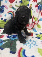 processed/14acb267-82ac-4bfc-8782-cc8c14aed712/listing/a9e1c5db-af57-4033-8411-74ad382f3da5/0736c496-dfb8-4de6-abac-8b6310485019