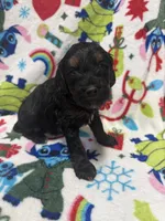 processed/14acb267-82ac-4bfc-8782-cc8c14aed712/listing/a9e1c5db-af57-4033-8411-74ad382f3da5/b88177d5-d761-4b71-8bdc-56ba92b218e2