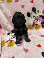 processed/14acb267-82ac-4bfc-8782-cc8c14aed712/listing/a9e1c5db-af57-4033-8411-74ad382f3da5/e57abede-cad1-4dba-9da6-bc7f018fce9f