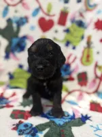 processed/14acb267-82ac-4bfc-8782-cc8c14aed712/listing/a9e1c5db-af57-4033-8411-74ad382f3da5/e97082d8-d6fd-485f-83d5-68ea4407a55c