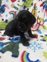 processed/14acb267-82ac-4bfc-8782-cc8c14aed712/listing/a9e1c5db-af57-4033-8411-74ad382f3da5/ead8fe4f-078c-4c67-91fa-c9dbd99492ae