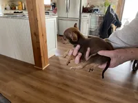 processed/14b0ea6b-68cf-4753-b932-a615f80f41aa/listing/63f9b90d-5e36-416b-9536-bafcedc3759e/2737dcbc-eace-404a-99d3-3484de7e2b9d