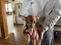 processed/14b0ea6b-68cf-4753-b932-a615f80f41aa/listing/63f9b90d-5e36-416b-9536-bafcedc3759e/2dad25dc-ff17-4c5e-936d-7cc767131c2e