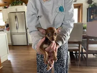 processed/14b0ea6b-68cf-4753-b932-a615f80f41aa/listing/63f9b90d-5e36-416b-9536-bafcedc3759e/501aa7ca-5ad2-4d08-a77d-5aa701b69086