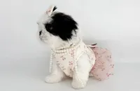 Dolly❤️830-660-4641, a female Shih Tzu for sale in New Braunfels, TX – 7 of 8