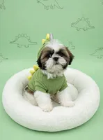 Buster , a male Shih Tzu for sale in New Braunfels, TX – 1 of 2