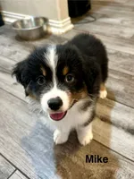 processed/14bef567-9c27-4c40-a738-77777766f9c4/listing/69634e85-9781-4cc1-88ff-09c838ad11e3/e46f35e3-f44f-479f-9c25-6c5e68ba6668