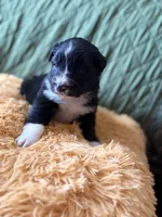 processed/14c8ac71-f6ce-47e2-8450-5129f5314e08/listing/0bde0927-4db3-46e6-94c2-9fd90d98d6da/0ef5a859-6e37-4530-b610-3d5a2c250a11