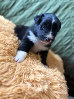 processed/14c8ac71-f6ce-47e2-8450-5129f5314e08/listing/0bde0927-4db3-46e6-94c2-9fd90d98d6da/2fee6023-ac06-44d7-a6c5-088ba7962757