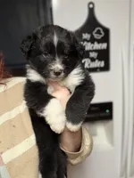 processed/14c8ac71-f6ce-47e2-8450-5129f5314e08/listing/0bde0927-4db3-46e6-94c2-9fd90d98d6da/392ba654-be25-4943-ade2-90fe93bb8a44