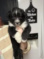 processed/14c8ac71-f6ce-47e2-8450-5129f5314e08/listing/0bde0927-4db3-46e6-94c2-9fd90d98d6da/90634d63-9f6c-4615-99f5-1d217cf1b1a7