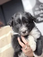 processed/14c8ac71-f6ce-47e2-8450-5129f5314e08/listing/0bde0927-4db3-46e6-94c2-9fd90d98d6da/90c1e9a2-f5f3-4fd9-ba1c-16bb79defdfb