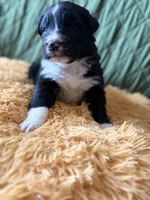 processed/14c8ac71-f6ce-47e2-8450-5129f5314e08/listing/0bde0927-4db3-46e6-94c2-9fd90d98d6da/af3d5f81-3c2e-4b6c-a14b-0f53ef1e765c