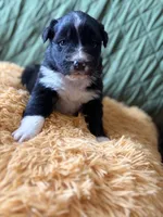 processed/14c8ac71-f6ce-47e2-8450-5129f5314e08/listing/0bde0927-4db3-46e6-94c2-9fd90d98d6da/fe4185f3-b610-4ef0-a3c0-42b115f3c711