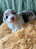 processed/14c8ac71-f6ce-47e2-8450-5129f5314e08/listing/165dbf53-6366-413c-b323-d0ebaad338d5/0c74b1dd-6d7a-4014-82ed-a05baf186768