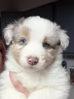 processed/14c8ac71-f6ce-47e2-8450-5129f5314e08/listing/165dbf53-6366-413c-b323-d0ebaad338d5/2951f9ca-66b6-4482-b244-b3e5931502e6