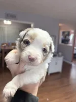 processed/14c8ac71-f6ce-47e2-8450-5129f5314e08/listing/165dbf53-6366-413c-b323-d0ebaad338d5/38817234-4035-4500-8323-e35df26e7aaf