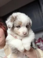 processed/14c8ac71-f6ce-47e2-8450-5129f5314e08/listing/165dbf53-6366-413c-b323-d0ebaad338d5/98b131ae-ba3c-4f93-9483-11938525f999