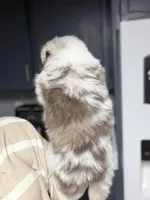 processed/14c8ac71-f6ce-47e2-8450-5129f5314e08/listing/165dbf53-6366-413c-b323-d0ebaad338d5/a87c6641-3c6e-4e6a-866f-fd6426e03af0