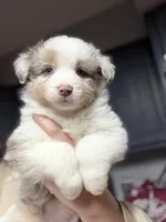 processed/14c8ac71-f6ce-47e2-8450-5129f5314e08/listing/165dbf53-6366-413c-b323-d0ebaad338d5/c5a3c439-e57b-49dd-98f3-5626ed8ae90f