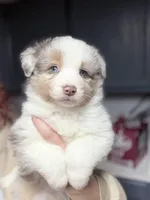 processed/14c8ac71-f6ce-47e2-8450-5129f5314e08/listing/165dbf53-6366-413c-b323-d0ebaad338d5/ea4e8604-9d23-484d-adf9-4dd397f7d44f