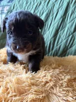 processed/14c8ac71-f6ce-47e2-8450-5129f5314e08/listing/af21b493-bd55-4d9b-843e-141377545ec2/39ab6345-0729-4759-9298-a694e55f1b5e