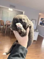 processed/14c8ac71-f6ce-47e2-8450-5129f5314e08/listing/af21b493-bd55-4d9b-843e-141377545ec2/607f0989-3da5-43a2-b66e-25abcb7f9d64