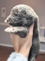 processed/14c8ac71-f6ce-47e2-8450-5129f5314e08/listing/af21b493-bd55-4d9b-843e-141377545ec2/617925b5-3cc8-4291-8af4-6c57c7daf085