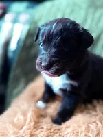 processed/14c8ac71-f6ce-47e2-8450-5129f5314e08/listing/af21b493-bd55-4d9b-843e-141377545ec2/d722f619-352f-46d4-bf88-29c060df50ab