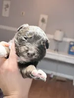 processed/14c8ac71-f6ce-47e2-8450-5129f5314e08/listing/af21b493-bd55-4d9b-843e-141377545ec2/f550c574-0353-4902-bbb5-0c3af381ad33