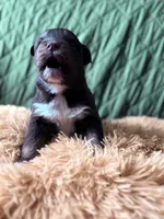 processed/14c8ac71-f6ce-47e2-8450-5129f5314e08/listing/c64266f5-e570-4f9e-ab22-3746abc288b9/0d872404-4e09-4900-8823-6e66cab88c40