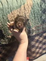 processed/14c8ac71-f6ce-47e2-8450-5129f5314e08/listing/c64266f5-e570-4f9e-ab22-3746abc288b9/0dcd48fa-71f5-4a3c-a138-8594fc9fd880