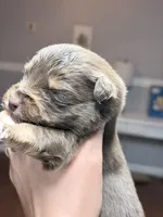 processed/14c8ac71-f6ce-47e2-8450-5129f5314e08/listing/c64266f5-e570-4f9e-ab22-3746abc288b9/1afecaef-fa70-4022-9af1-9105d313e44b