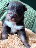 processed/14c8ac71-f6ce-47e2-8450-5129f5314e08/listing/c64266f5-e570-4f9e-ab22-3746abc288b9/662ecd66-8483-499a-8e2f-d175df76fd27