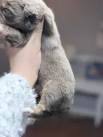 processed/14c8ac71-f6ce-47e2-8450-5129f5314e08/listing/c64266f5-e570-4f9e-ab22-3746abc288b9/838dc4e8-6da1-4e5d-8ad4-8900c90c5c42