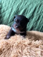 processed/14c8ac71-f6ce-47e2-8450-5129f5314e08/listing/c64266f5-e570-4f9e-ab22-3746abc288b9/9d1c3f16-14f6-43b7-8d87-0affdb8bc380