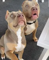 processed/14ca9b51-0cd3-4b2c-b992-d4dd54c8644e/facility/06a469e2-24ba-47e7-bcf2-e12f2624b86e