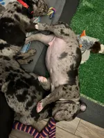 processed/14ca9b51-0cd3-4b2c-b992-d4dd54c8644e/facility/5c21da5b-1224-4dc1-882c-b43a852e1feb