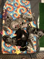 processed/14ca9b51-0cd3-4b2c-b992-d4dd54c8644e/facility/752503b0-f431-473d-bd84-b577ed2067bc