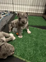 processed/14ca9b51-0cd3-4b2c-b992-d4dd54c8644e/facility/b4caeb19-985c-4c29-8d03-dcfa0d827524