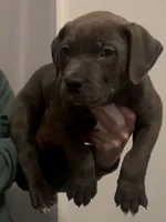 processed/14ca9b51-0cd3-4b2c-b992-d4dd54c8644e/listing/970b76d5-0e28-47b7-ae2e-8bf6bdedb037/08b082c0-e34e-4b89-92db-ae9fd4046fea