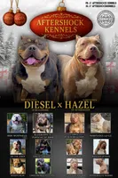 processed/14ca9b51-0cd3-4b2c-b992-d4dd54c8644e/listing/970b76d5-0e28-47b7-ae2e-8bf6bdedb037/a79dc37d-635a-4f3c-88c3-eb3d0ffb538e