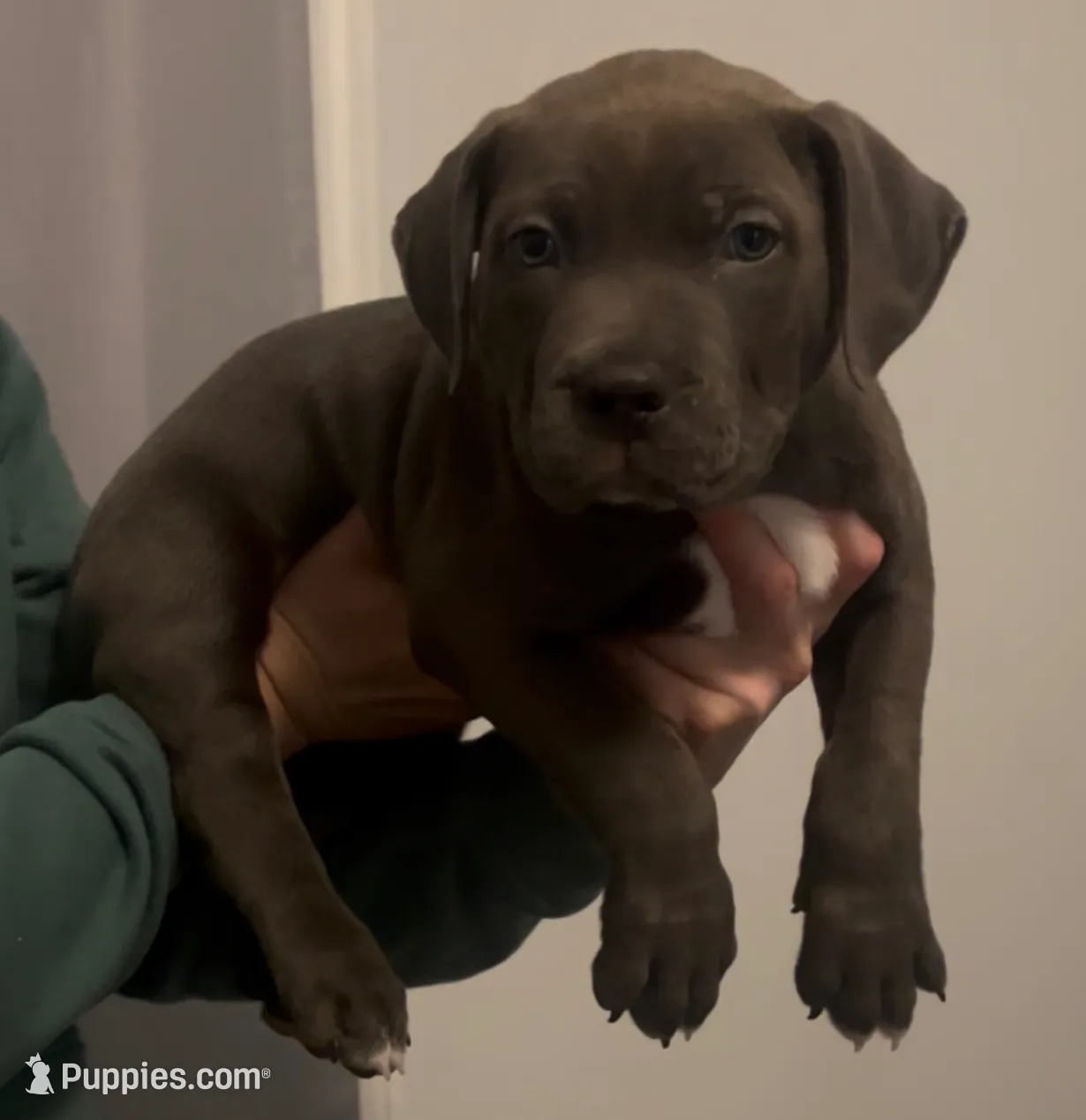 processed/14ca9b51-0cd3-4b2c-b992-d4dd54c8644e/listing/970b76d5-0e28-47b7-ae2e-8bf6bdedb037/d50e09c7-91c7-422c-8164-3465df290e9e