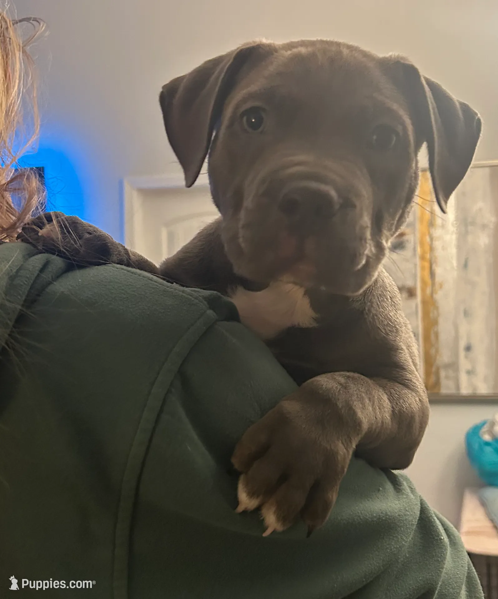 processed/14ca9b51-0cd3-4b2c-b992-d4dd54c8644e/listing/970b76d5-0e28-47b7-ae2e-8bf6bdedb037/fd35477b-7b2c-44ee-a270-2595e47ef149