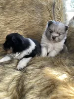 processed/14cc0268-f047-4676-9981-6d88ef7bf9f1/listing/408d7c68-b6e3-4128-88ee-8bce09b02daf/54af15db-7219-4df7-b325-09de6e28c07b