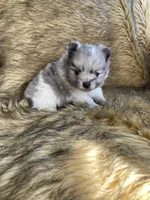 processed/14cc0268-f047-4676-9981-6d88ef7bf9f1/listing/408d7c68-b6e3-4128-88ee-8bce09b02daf/697fe096-121d-40db-88b0-17ed172fade0